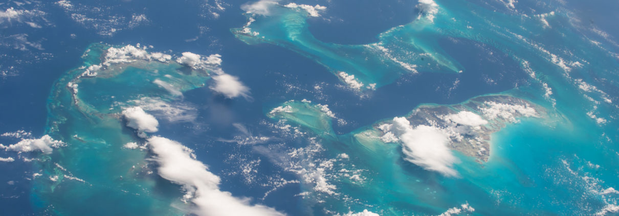 Nos sumamos a la hora del planeta